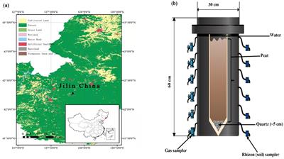 New insights into the spatial variability of microbial diversity and density in peatlands exposed to various electron acceptors with an emphasis on methanogenesis and CO2 fluxes